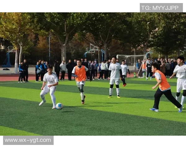 在阳光下挥洒汗水一堂充满激情与团队精神的足球训练课